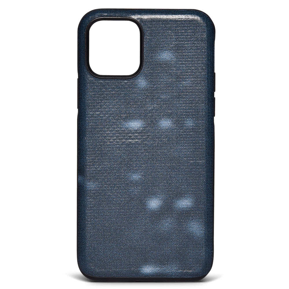 iPhone 11 Pro Case
