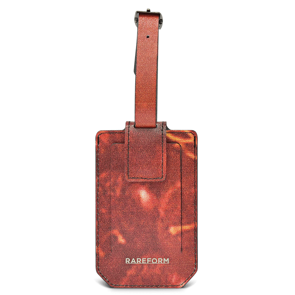 Salvador Luggage Tag