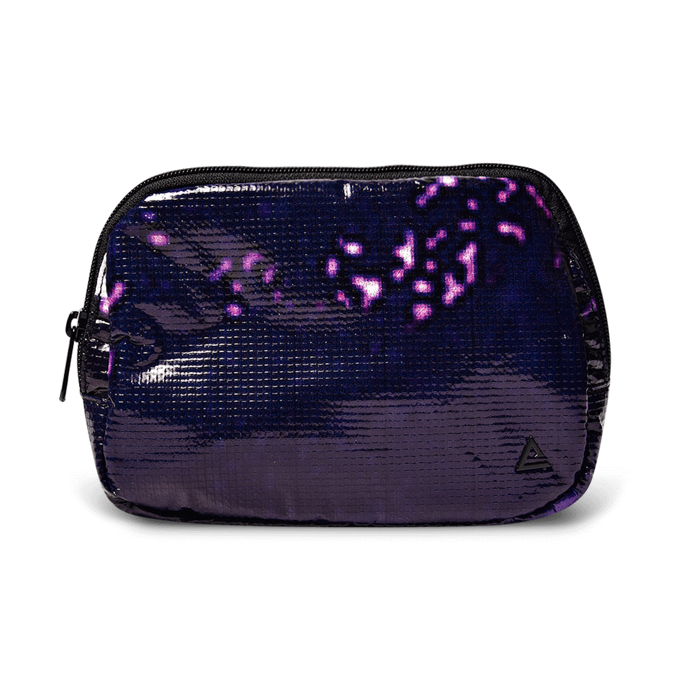 Zion Fanny Pack