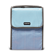 Merrick Lunch Tote