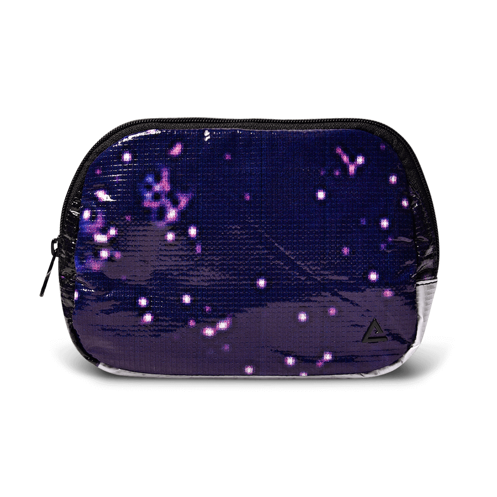 Zion Fanny Pack