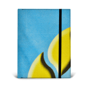 Oliver Notebook