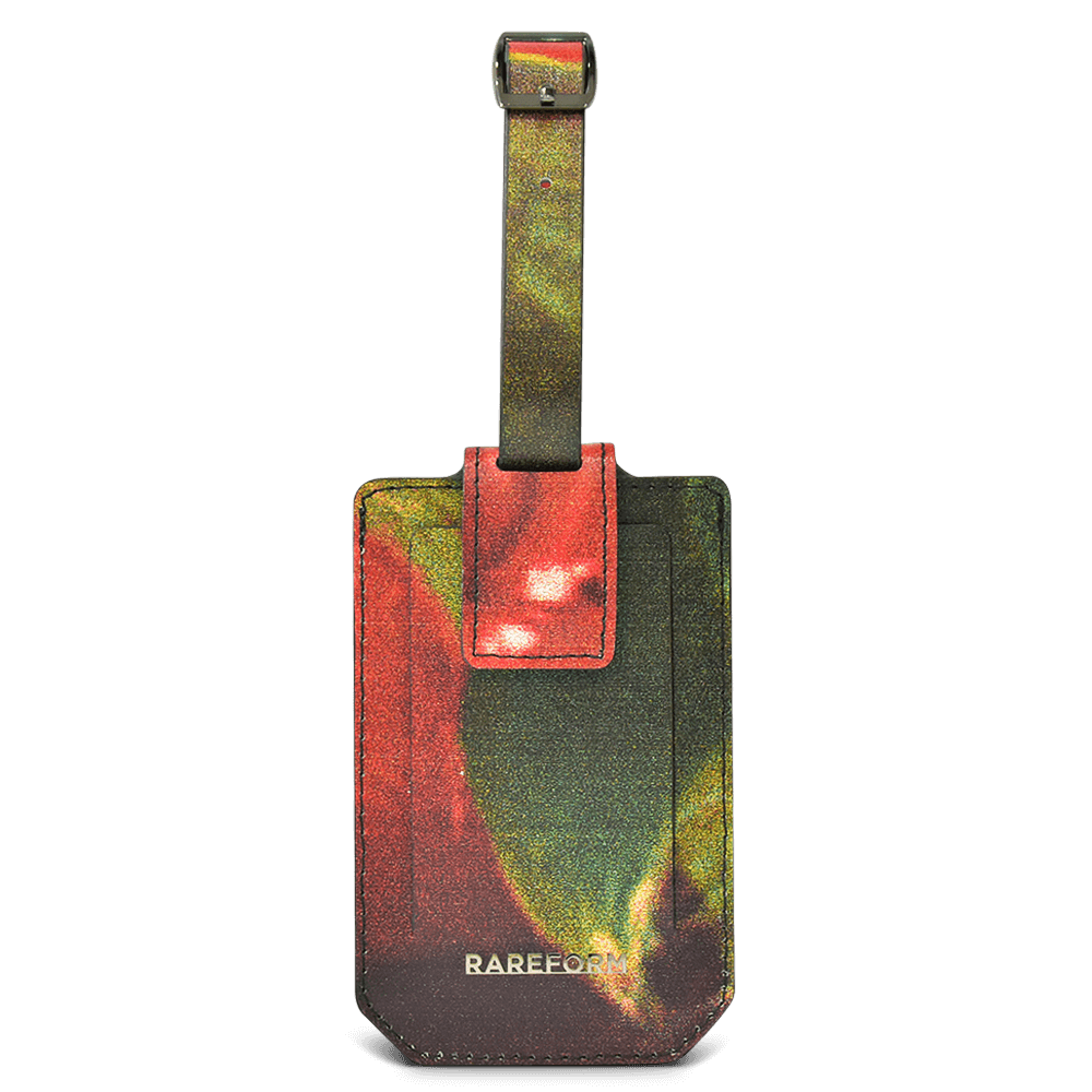 Salvador Luggage Tag