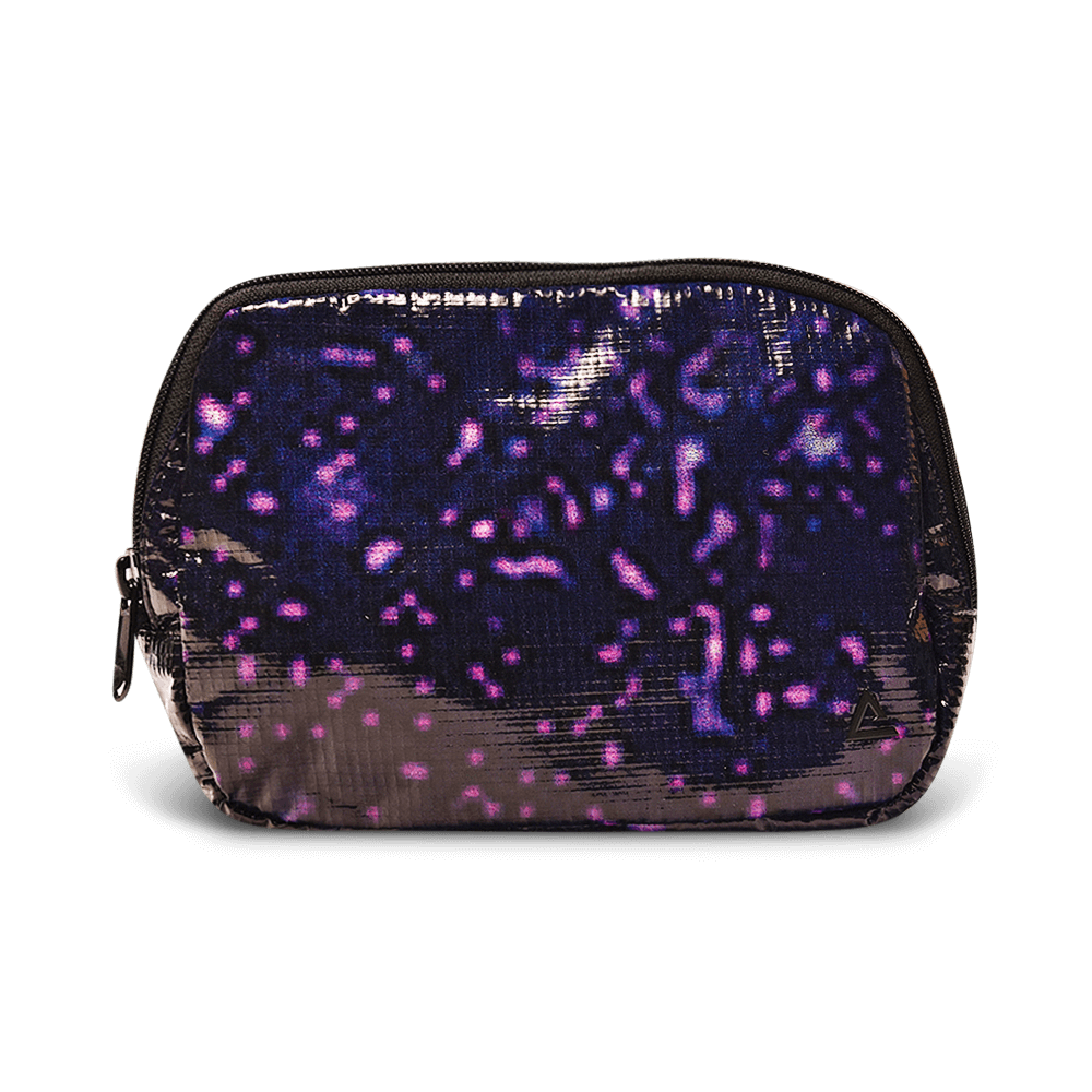 Zion Fanny Pack