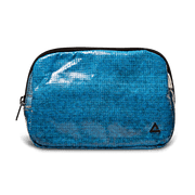 Zion Fanny Pack