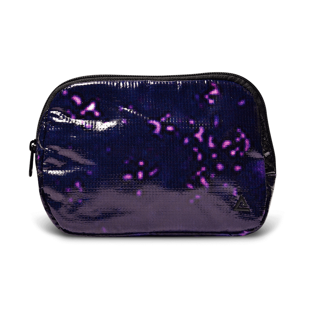 Zion Fanny Pack