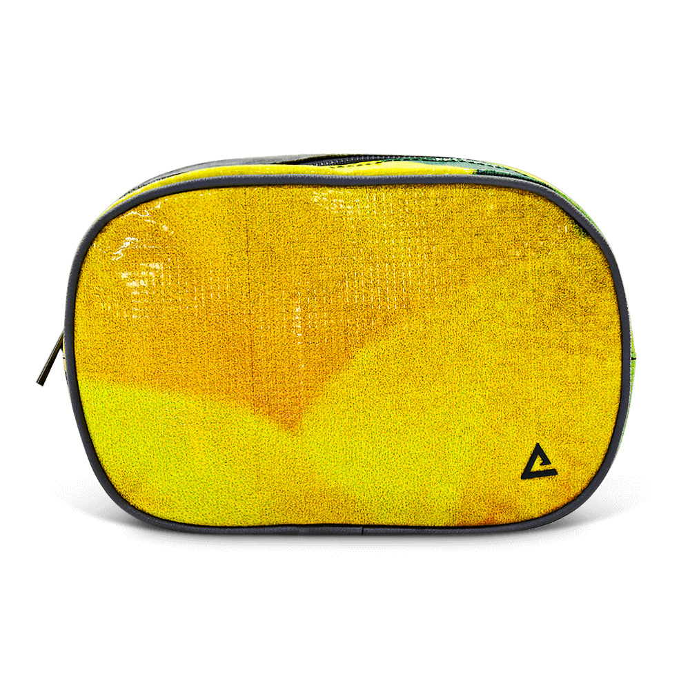 Riley Cosmetic Bag