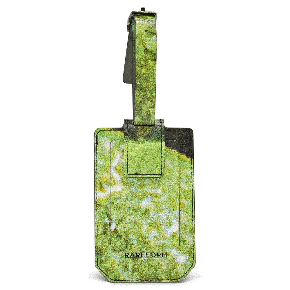 Salvador Luggage Tag