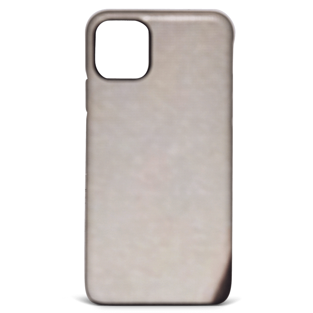 iPhone 11 Pro Max Case