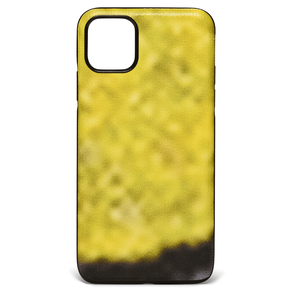 iPhone 11 Pro Max Case