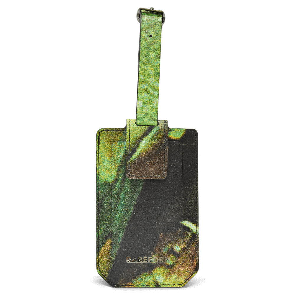 Salvador Luggage Tag