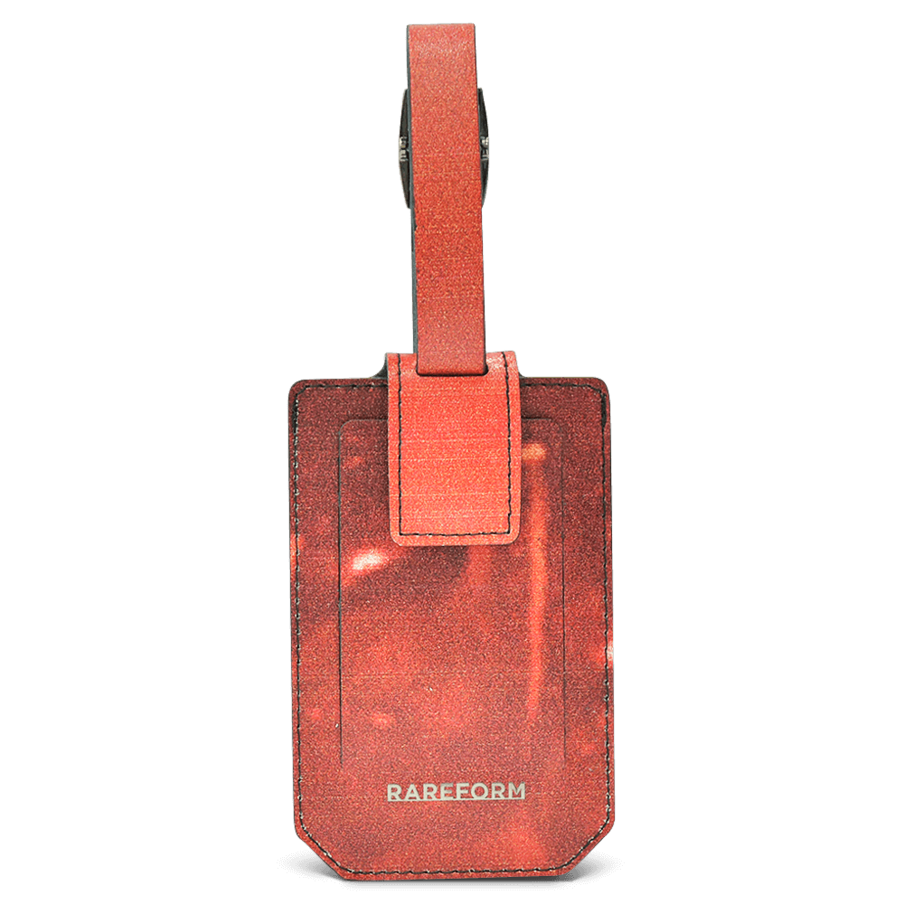 Salvador Luggage Tag
