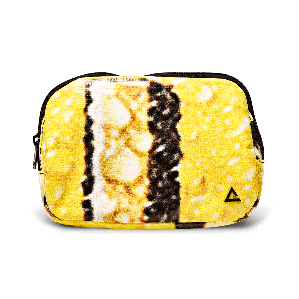 Zion Fanny Pack