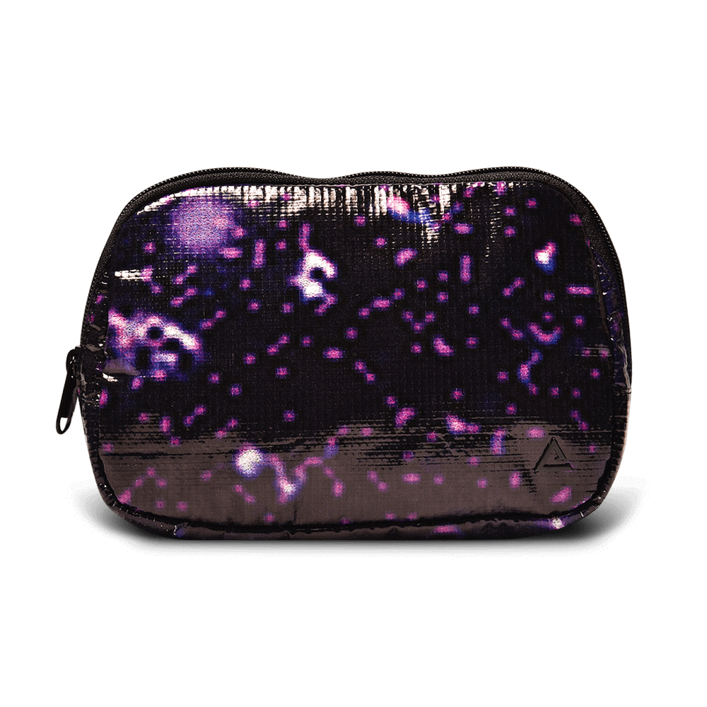 Zion Fanny Pack